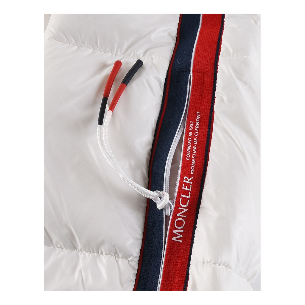 Moncler Tricolour Sleeve-Stripe Glossy Hooded Puffer Jacket – High Shine