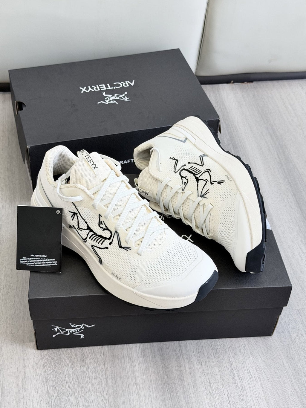 Arc'teryx Low-Cut Hiking Shoes