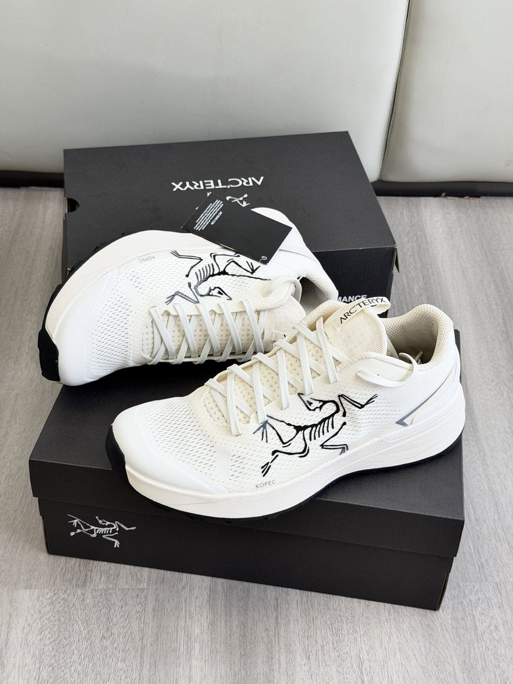 Arc'teryx Low-Cut Hiking Shoes