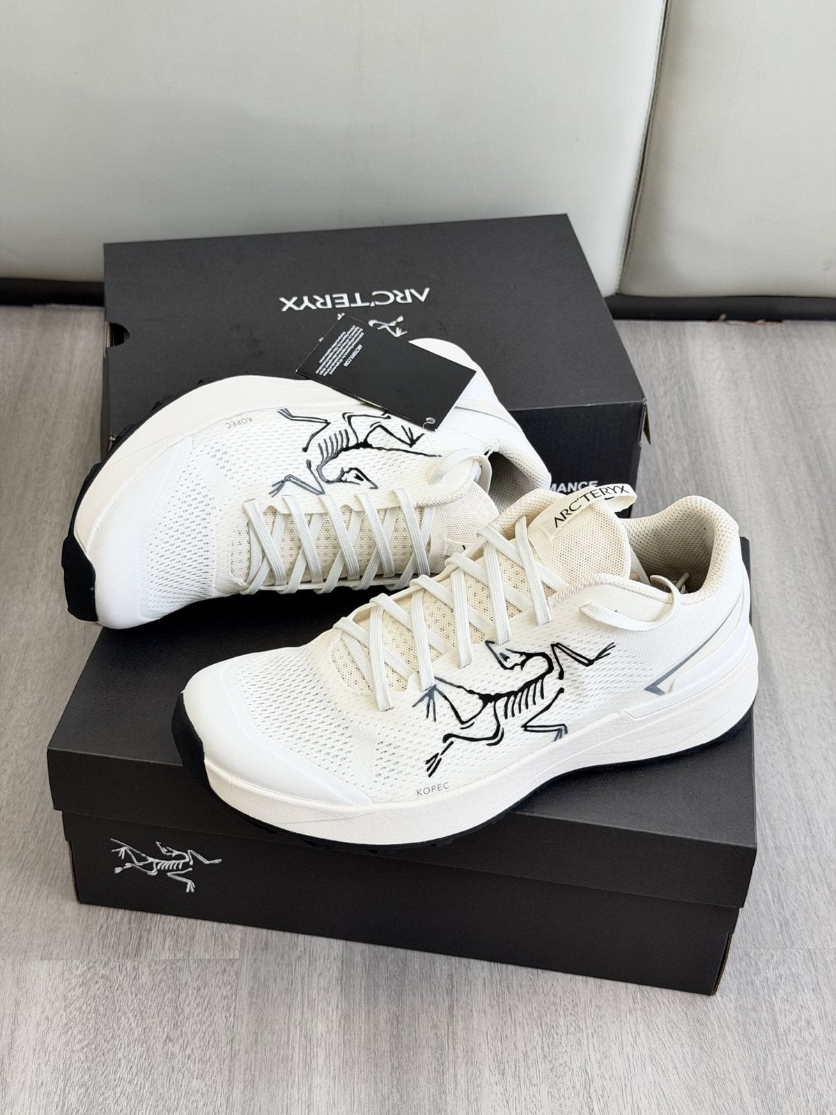 Arc'teryx Low-Cut Hiking Shoes